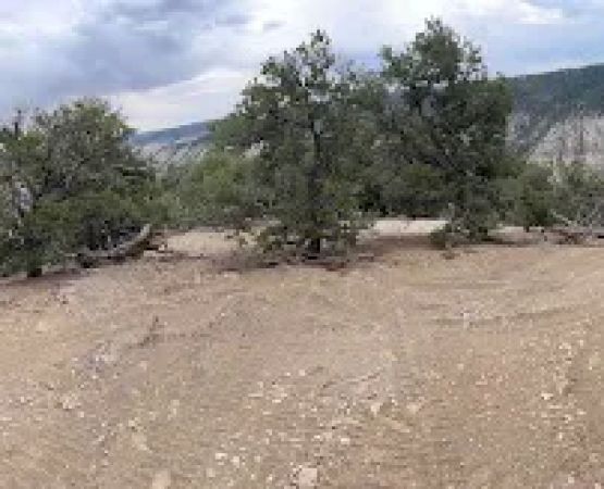 Wilderness Camp