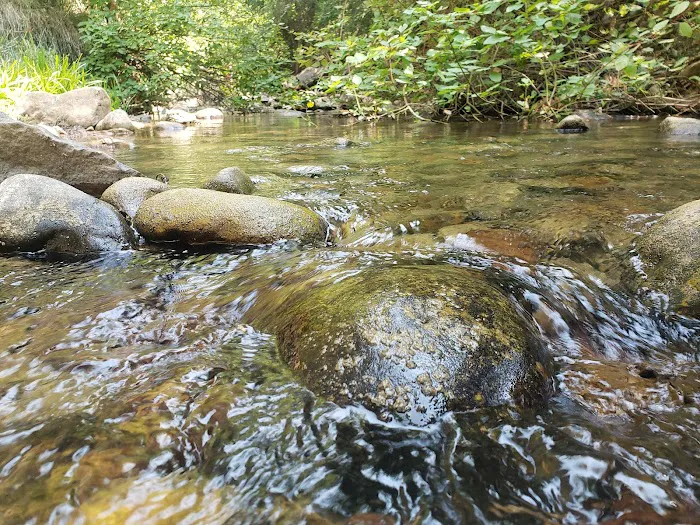 Balsam Campground 0