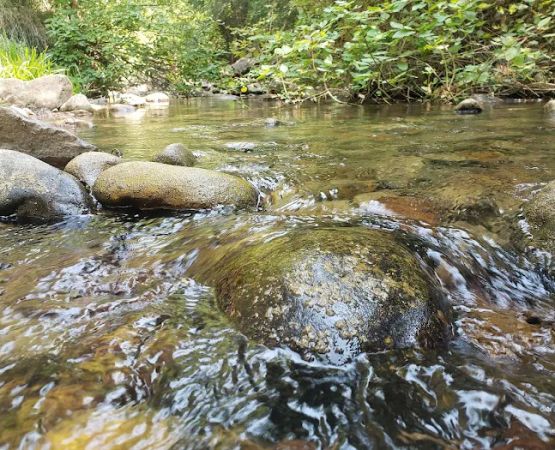 Balsam Campground