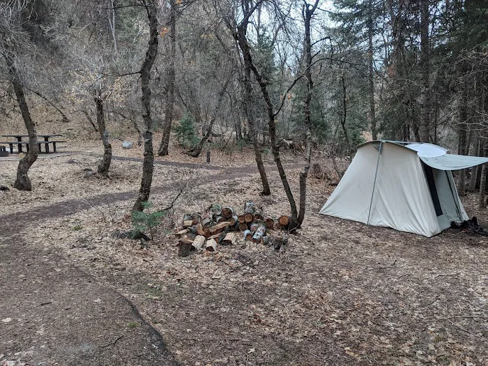 Balsam Campground 3