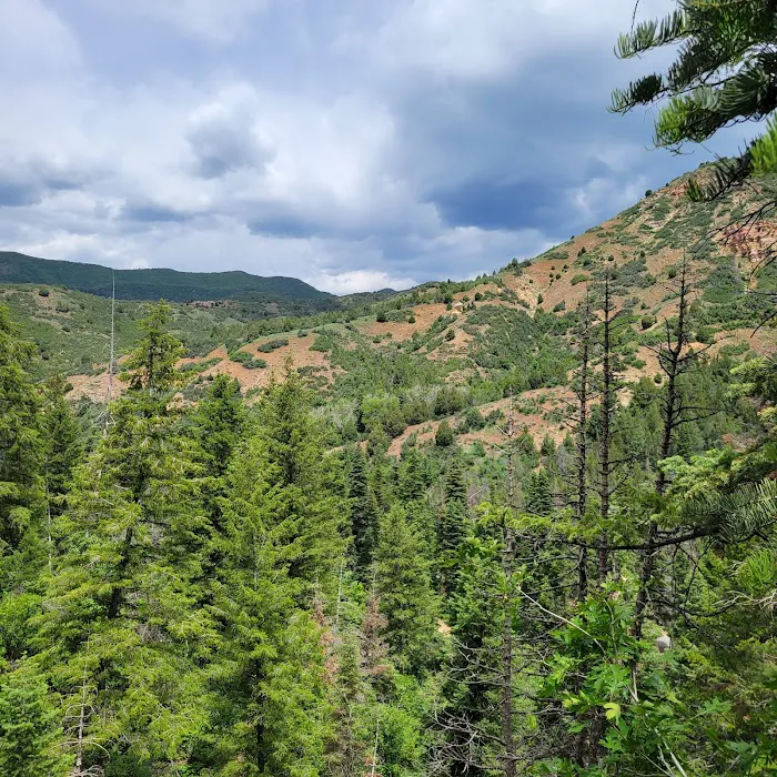 Balsam Campground 5