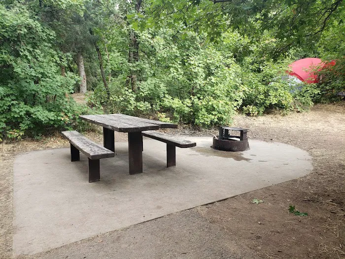 Balsam Campground 2