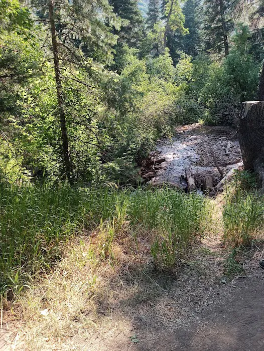 Balsam Campground 6