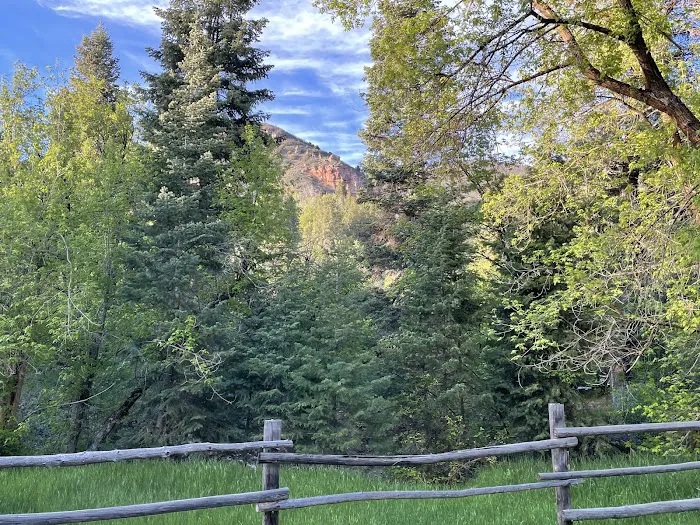 Balsam Campground 9