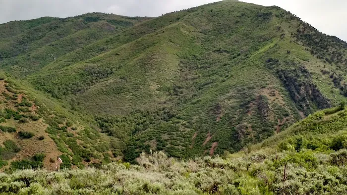Buck Hollow 4