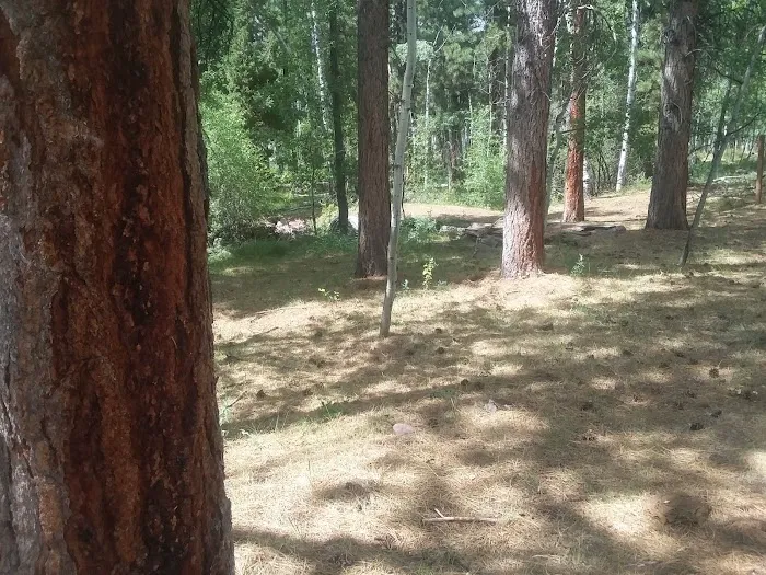 Yellowstone Campground 4