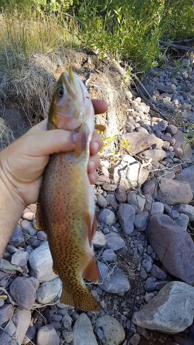 Yellowstone Campground 5