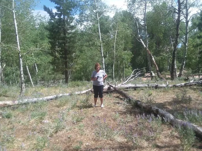 Yellowstone Campground 9