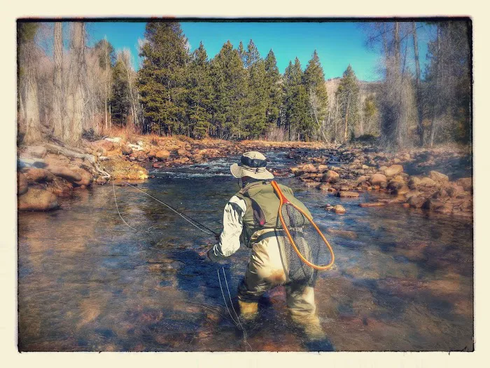 Yellowstone Campground 8