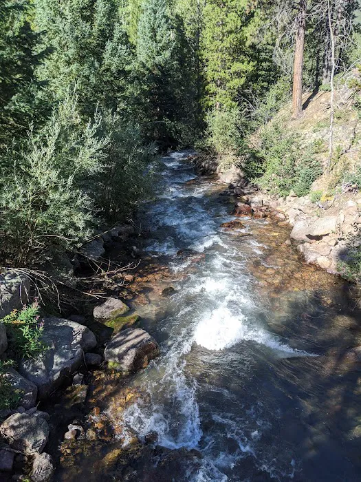 Swift Creek Campground 5