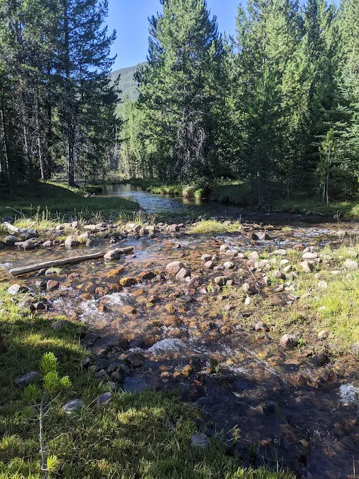 Swift Creek Campground 4