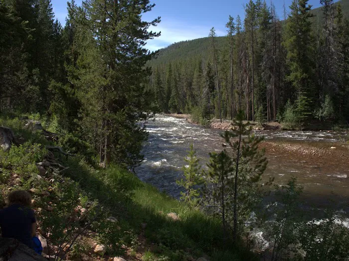 Swift Creek Campground 3