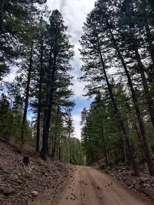 Swift Creek Campground 7