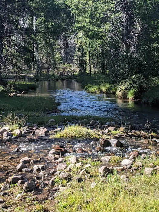 Swift Creek Campground 8