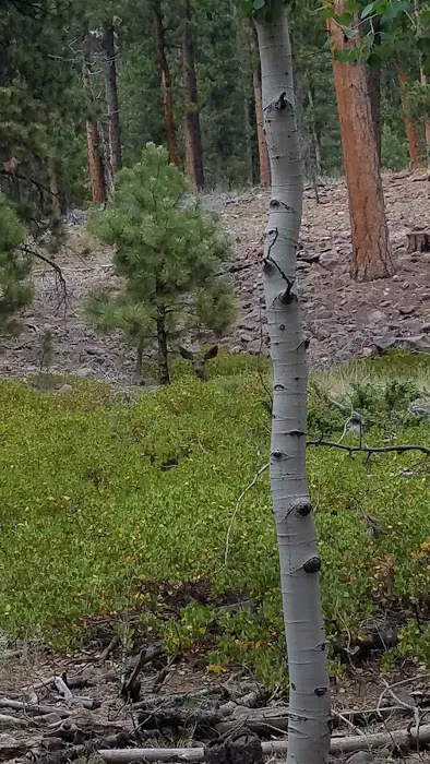Riverview Campground 2