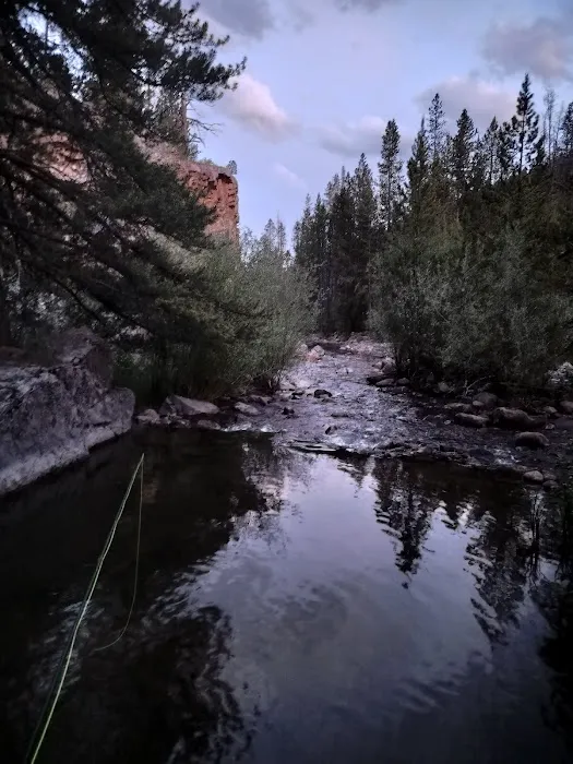 Riverview Campground 3