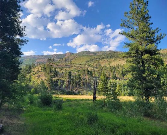 Uinta River Group Campground