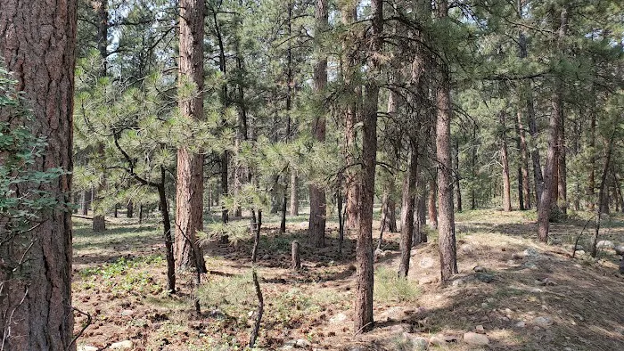 Uinta River Group Campground 7