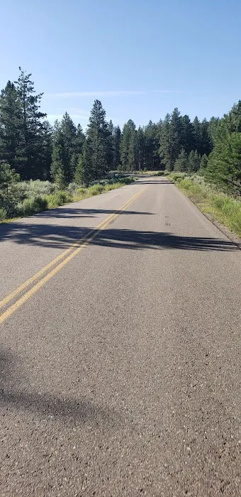 Uinta River Group Campground 6