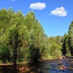 Uinta Canyon Campground