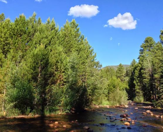 Uinta Canyon Campground
