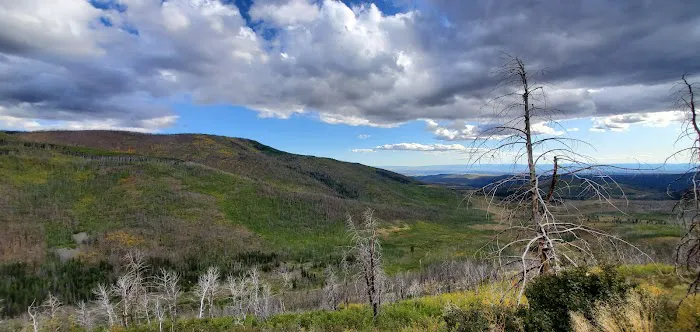 Uinta Canyon Campground 5