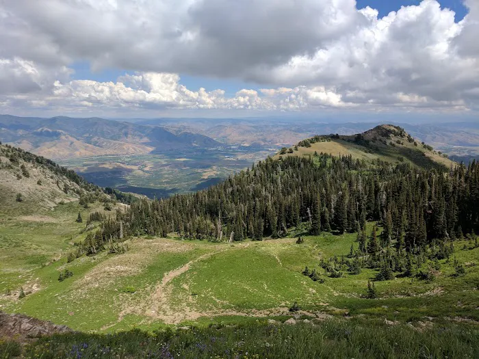 Uinta Canyon Campground 7