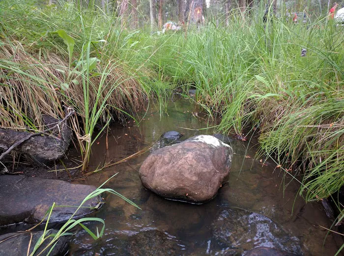 Uinta Canyon Campground 9