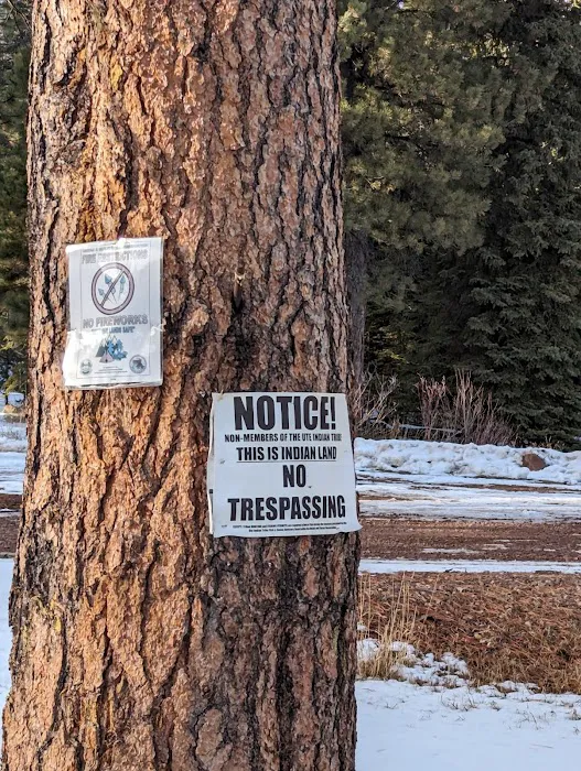 Big Springs Campground 3