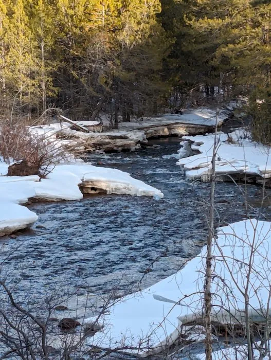 Big Springs Campground 5