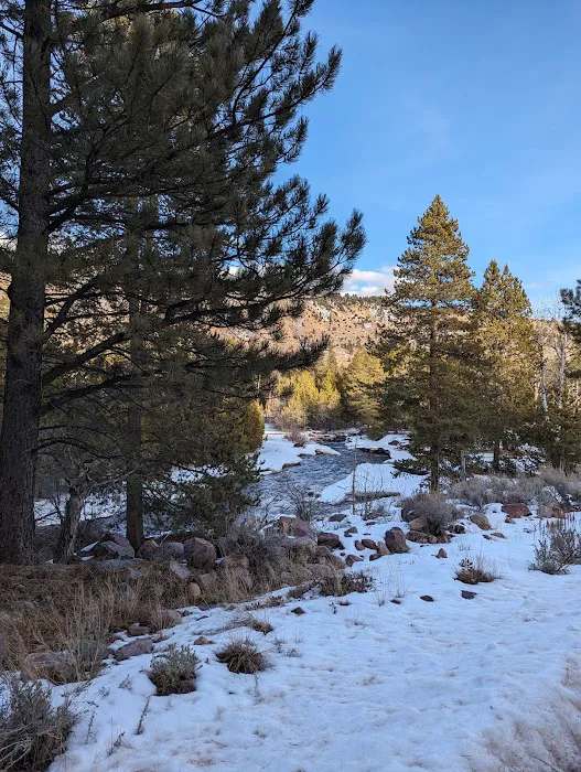 Big Springs Campground 7