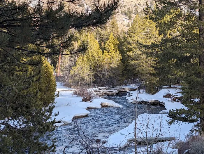 Big Springs Campground 8