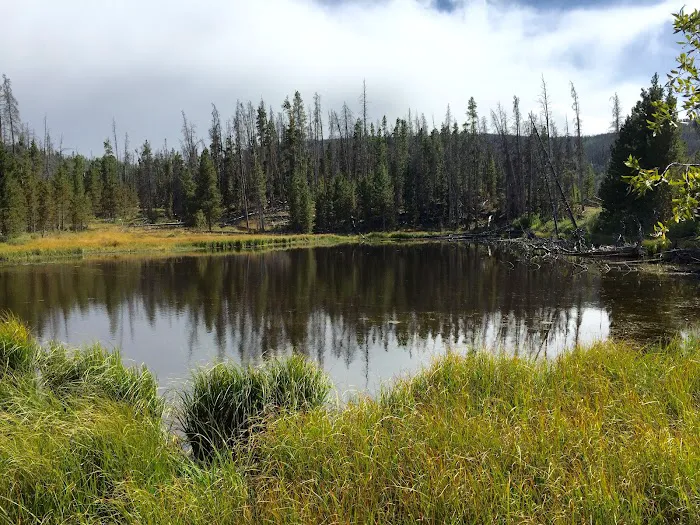 Hoop Lake Campground 6