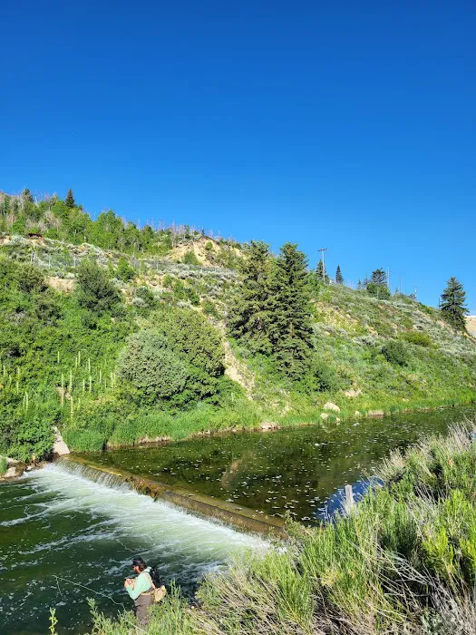 Madsen Bay Campground 4
