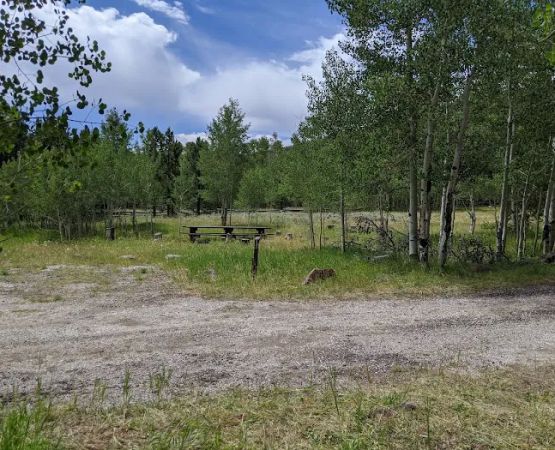 Red Springs Campground