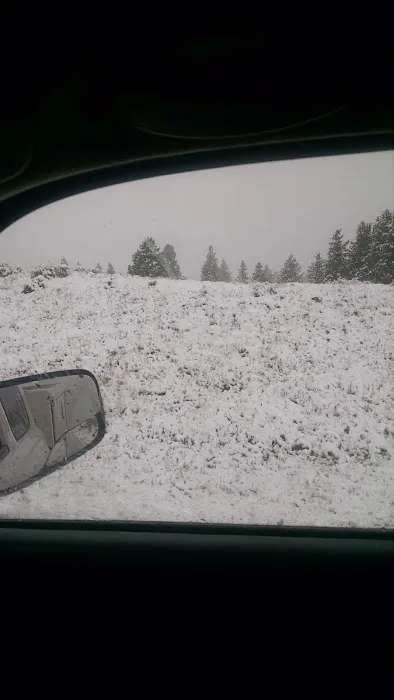 Red Springs Campground 8