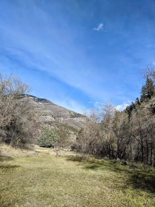 Dewitt Picnic Area 1