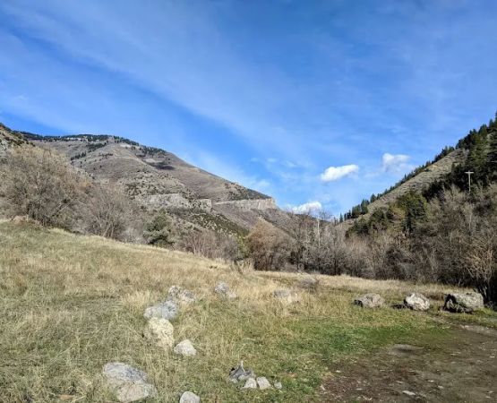 Dewitt Picnic Area