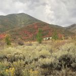 Chokecherry Picnic Area