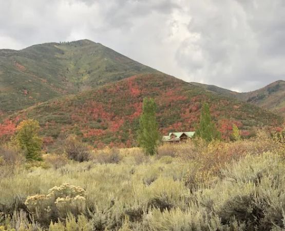 Chokecherry Picnic Area