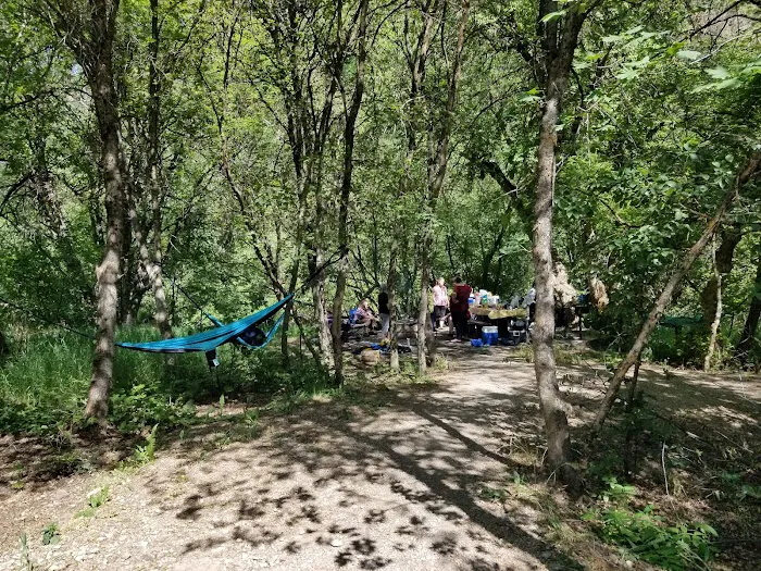 Chokecherry Picnic Area 8
