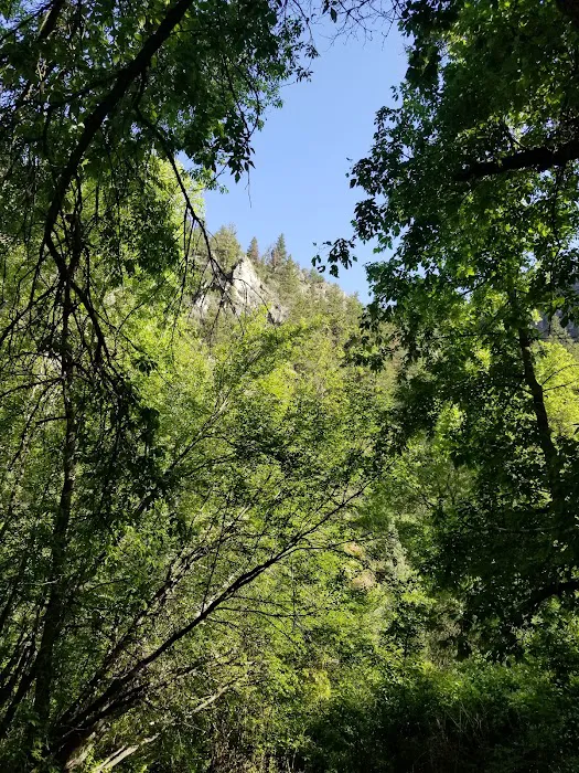 Chokecherry Picnic Area 9