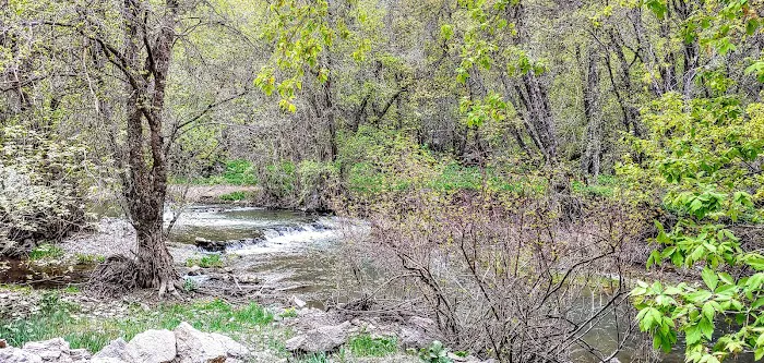 Spring Campground 0