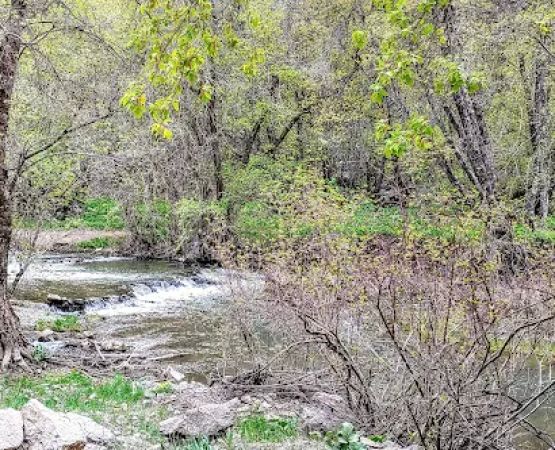 Spring Campground
