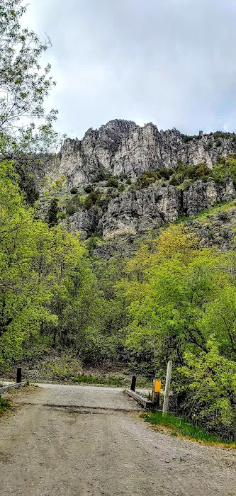 Spring Campground 1