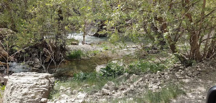 Spring Campground 4