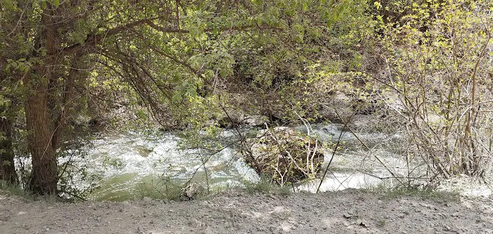 Spring Campground 3