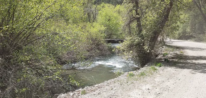 Spring Campground 5