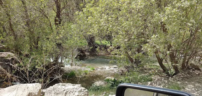 Spring Campground 7