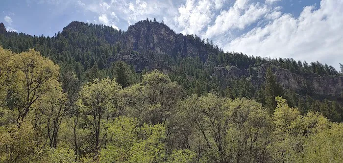 Spring Campground 6